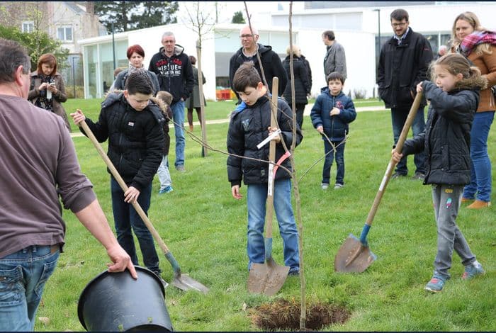 Un enfant, un arbre