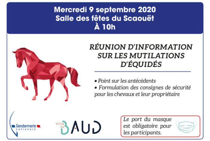 Réunion d’information mutilations équidés