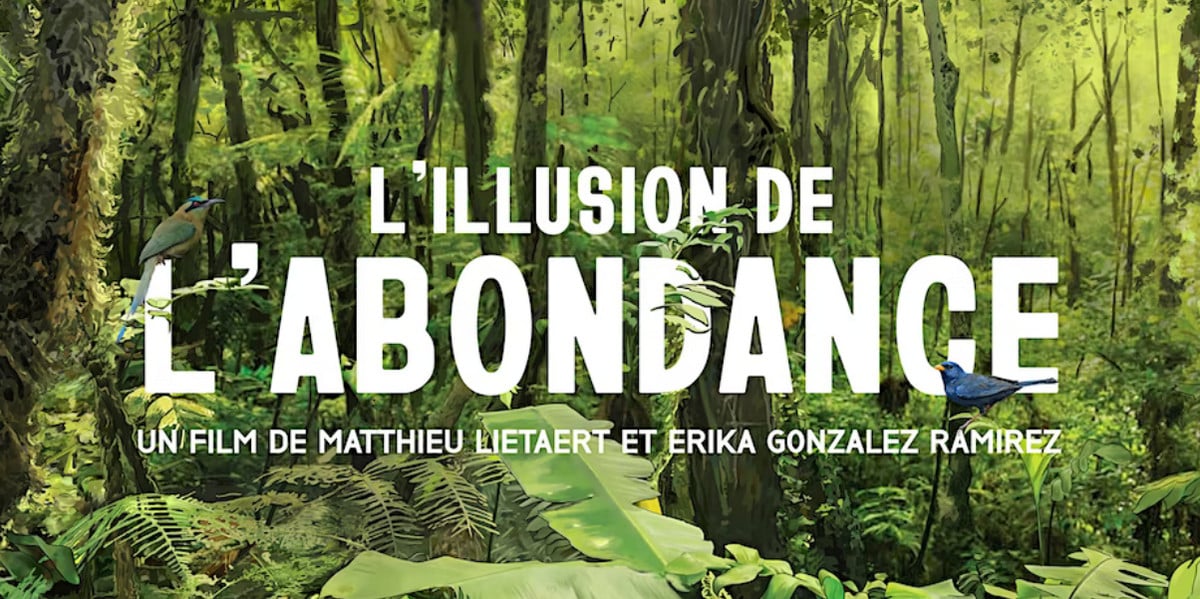 Projection et débat par CCFD Terres Solidaires