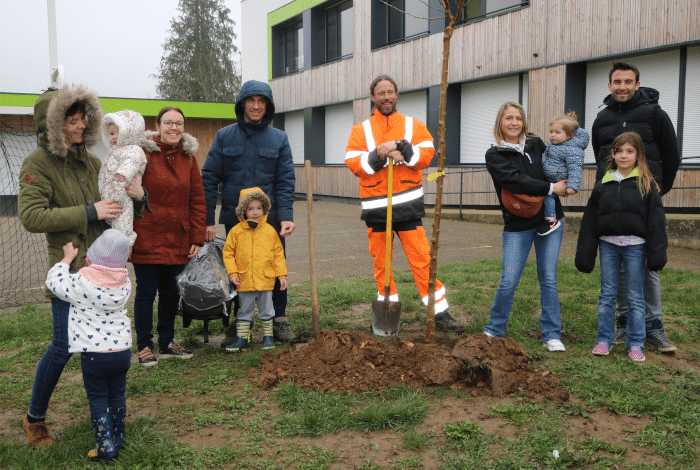 Opération un enfant, un arbre