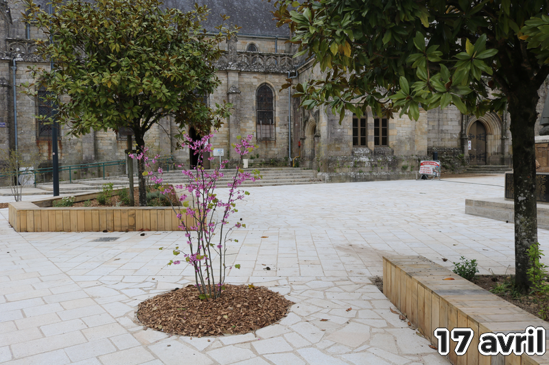 Travaux Place Le Sciellour