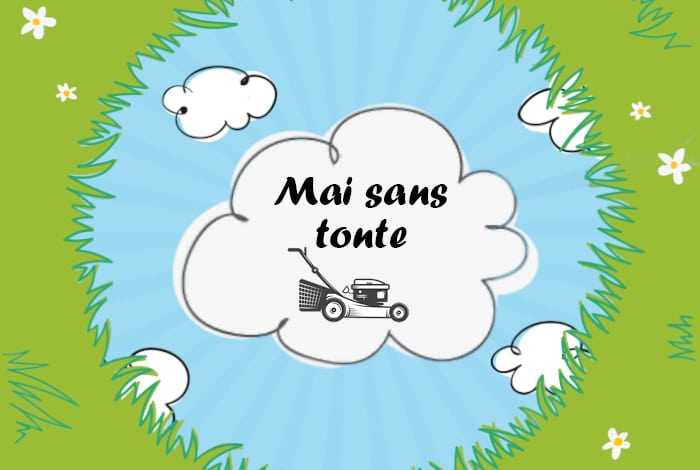 Mai sans tonte : un geste simple pour la biodiversité