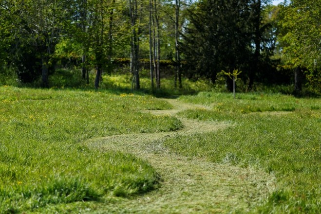 Gestion différenciée des espaces verts