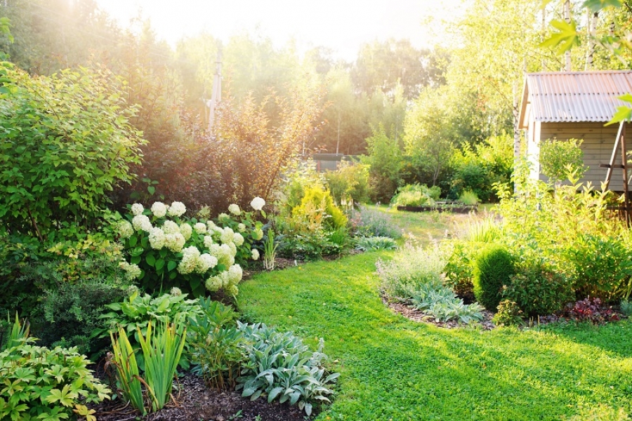 Réglementation dans votre jardin