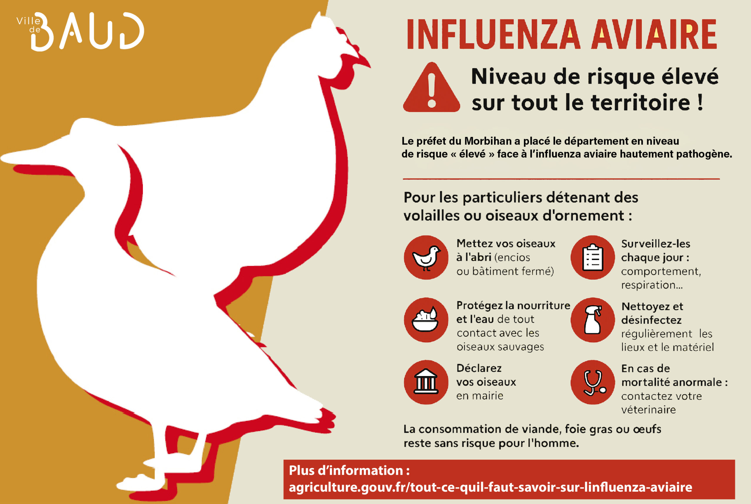 Influenza aviaire | Extension de la zone de protection et de surveillance en Morbihan
