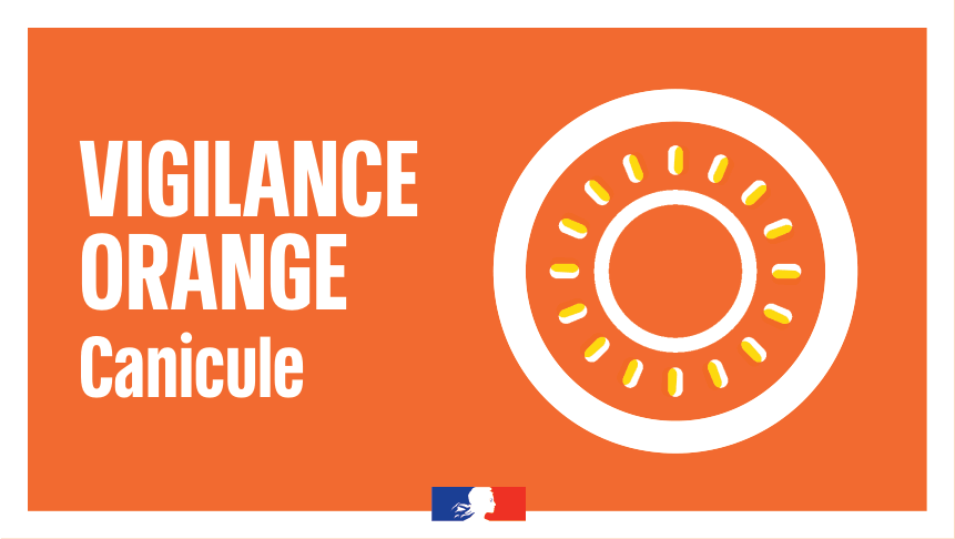 Canicule : toutes les informations