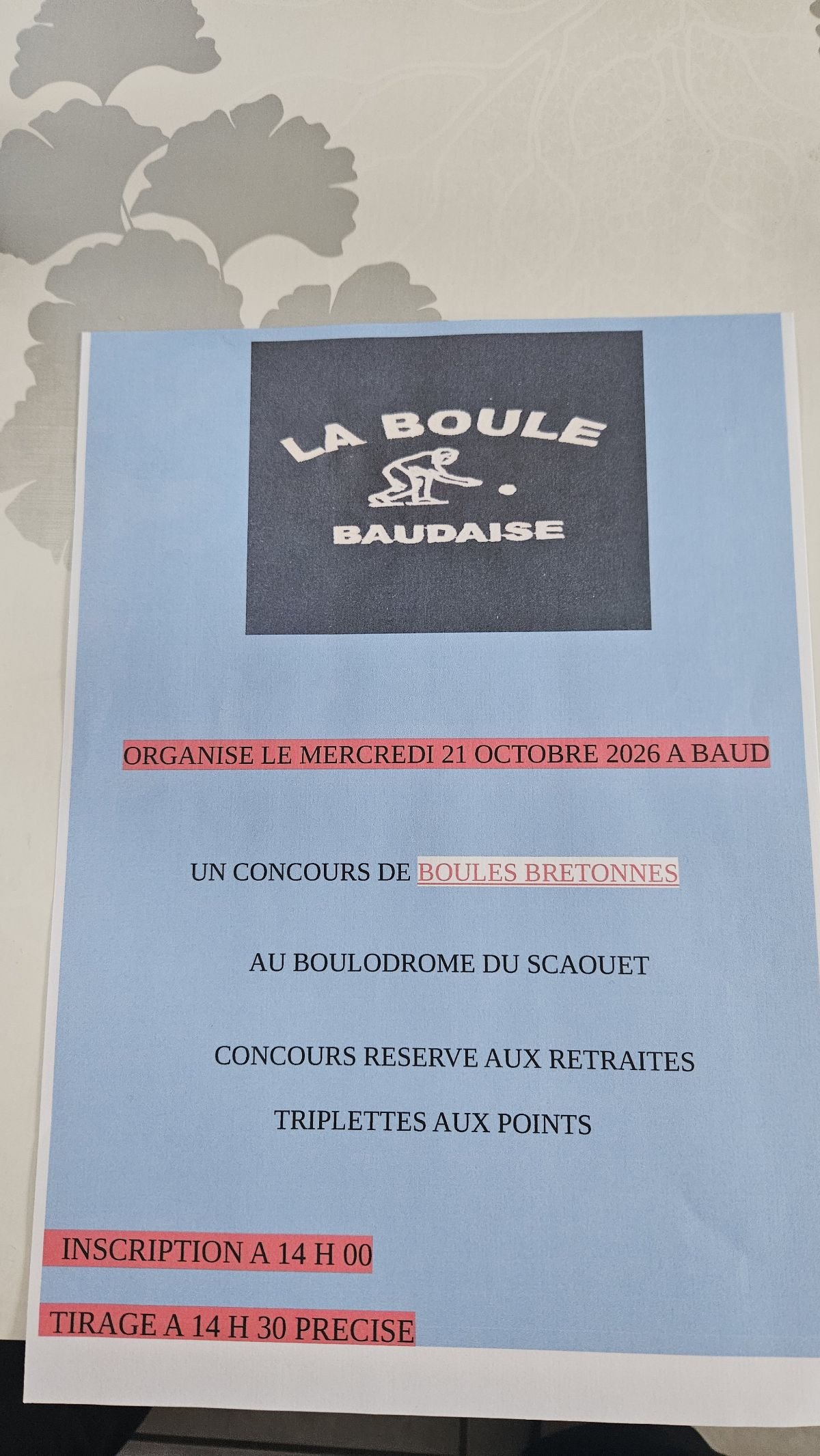 Concours  de boules bretonnes